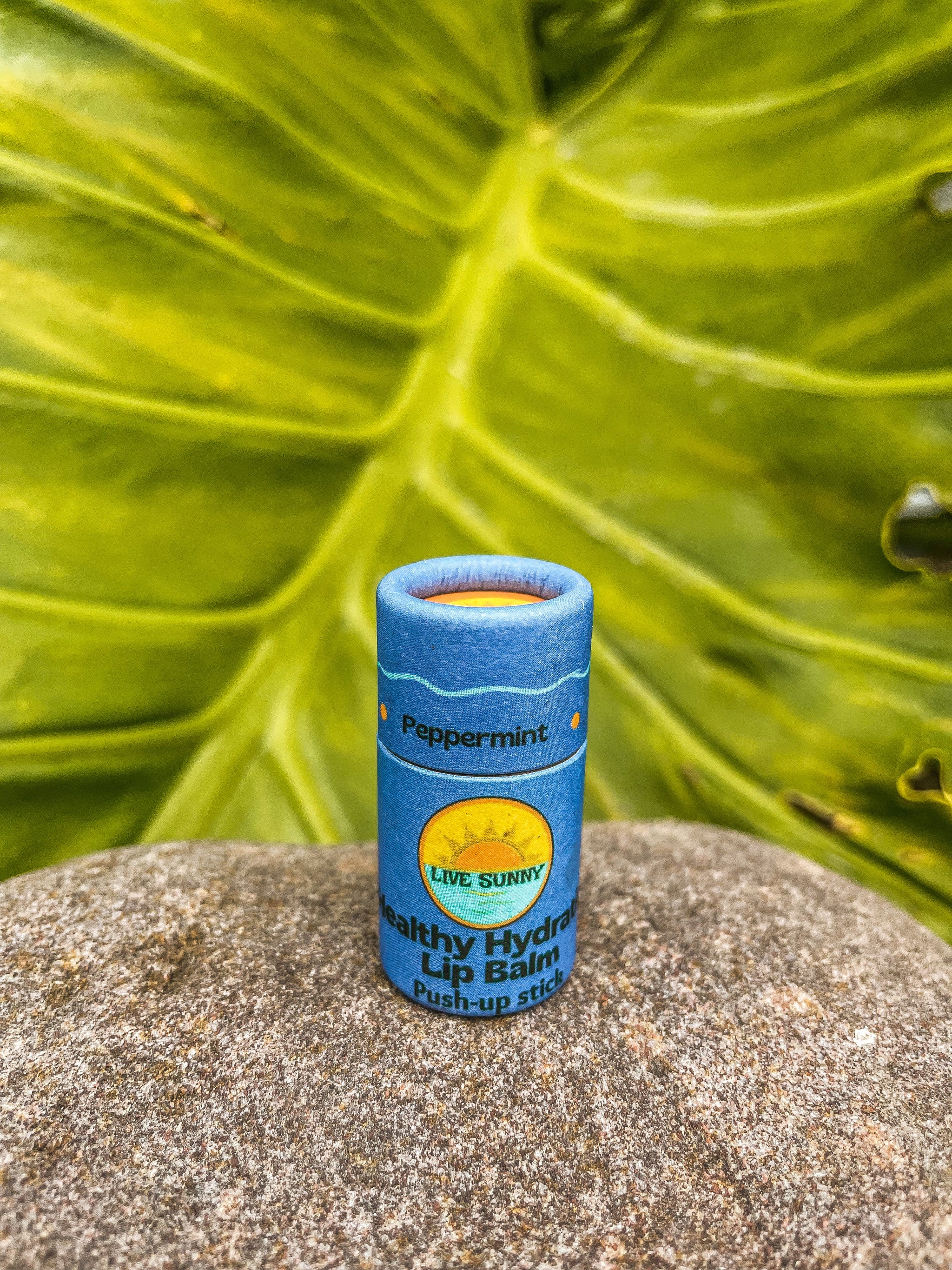 All The Goods Set – livesunnysunscreen